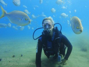 PADI Discover Scuba Diver with the fish