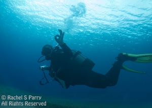 John at the start of his digital underwater photography dive