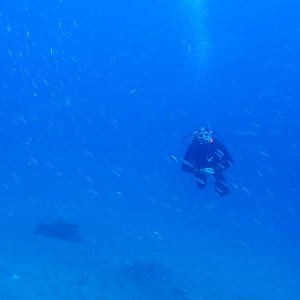 Photo sous-marine de Vaidas entouré de sardines durant son cours PADI Open Water Scuba diver, plongeur premier niveau, à Puerto Del Carmen. Nous aimons explorer le monde sous-marin