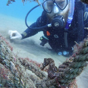 Rune et son premier hippocampe durant le cours PADI scuba Diver à Lanzarote