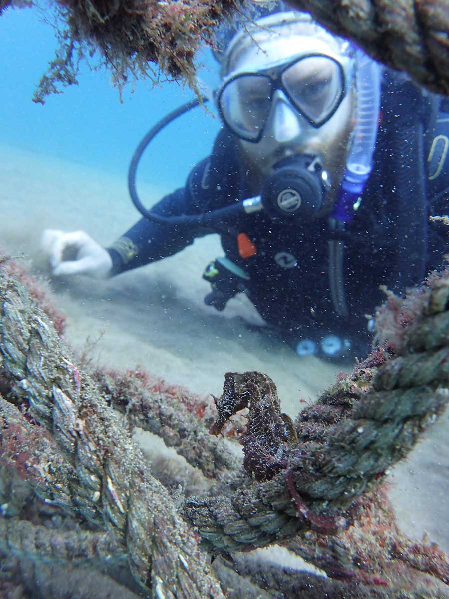 Rune et son premier hippocampe durant le cours PADI scuba Diver à Lanzarote